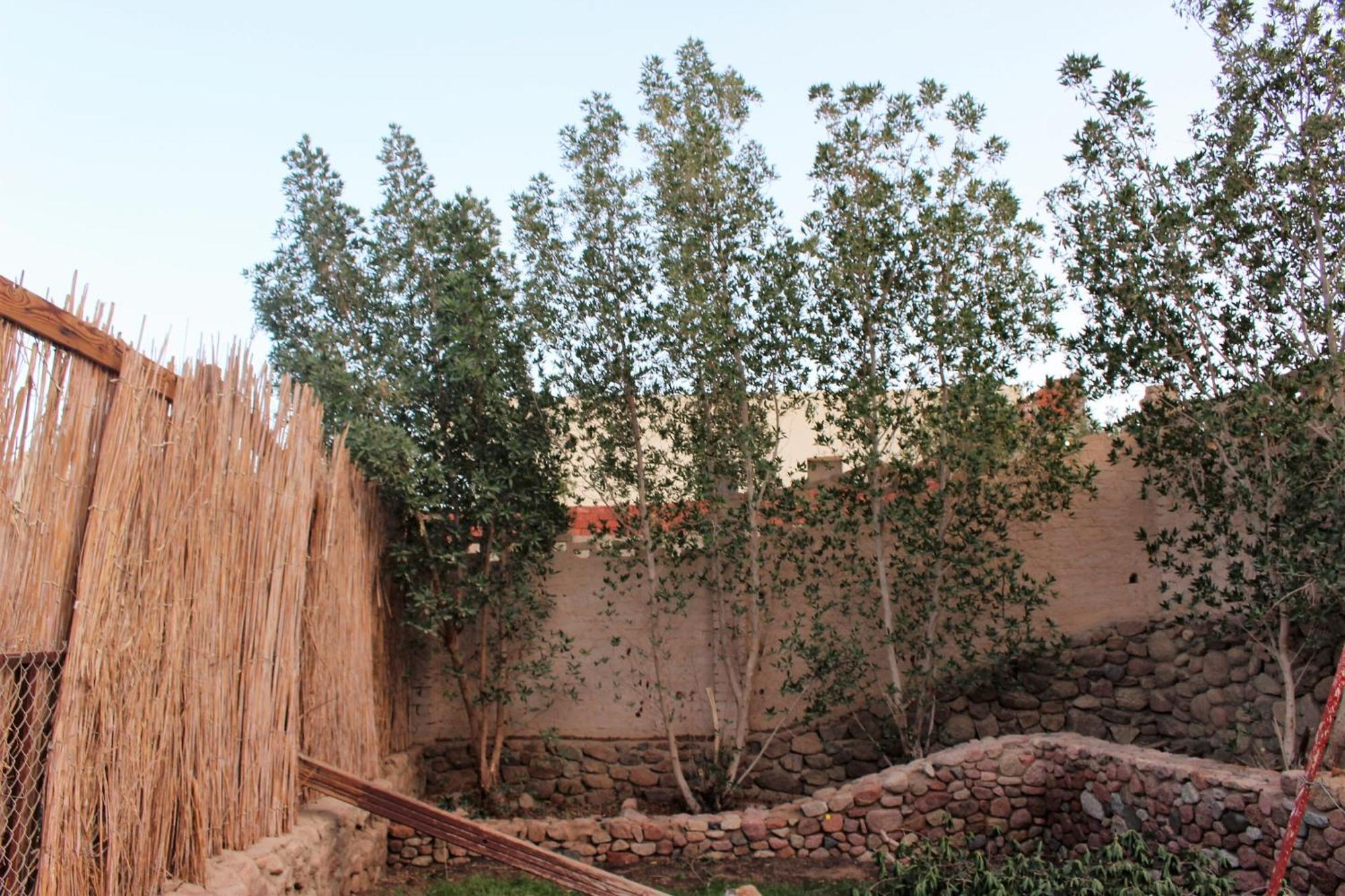 Sinai Old Spices B&B Sharm El Sheikk Quarto foto
